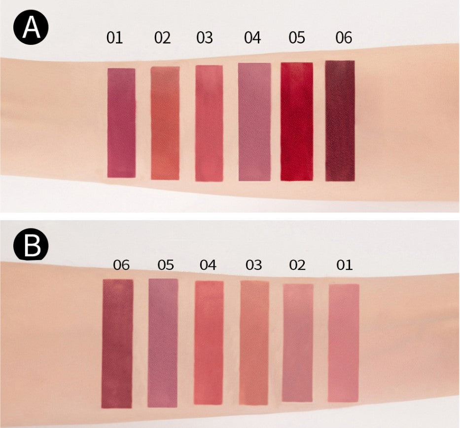 Set de 6 Labiales Líquidos Holybook – 2 Estilos de Tonos | Maquillaje Bueno y Económico(Mayoreo)