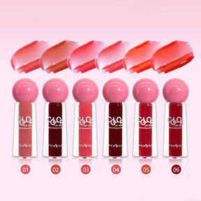 Labial Hidratante y Luminoso Holybook | 6 Tonos Irresistibles（Mayoreo）