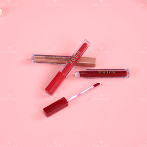 Juego de brillo de labios antiadherente de 12 piezas (Envío Inmediato)